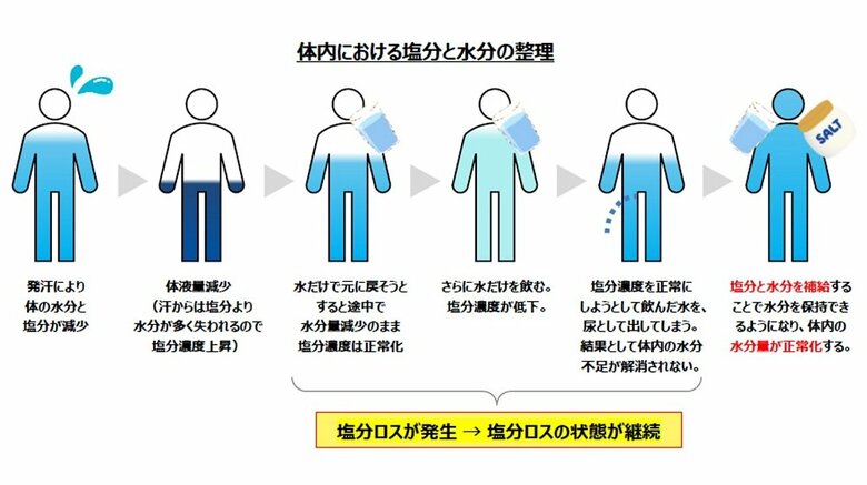 体内における塩分と水分の整理（提供：カバヤ食品株式会社　帝京大学医学部附属病院 高度救命救急センター長の三宅康史先生監修）