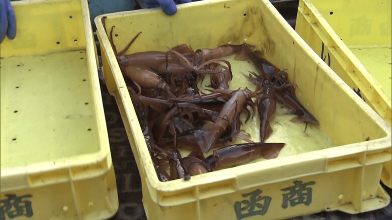 撮影：2023年6月