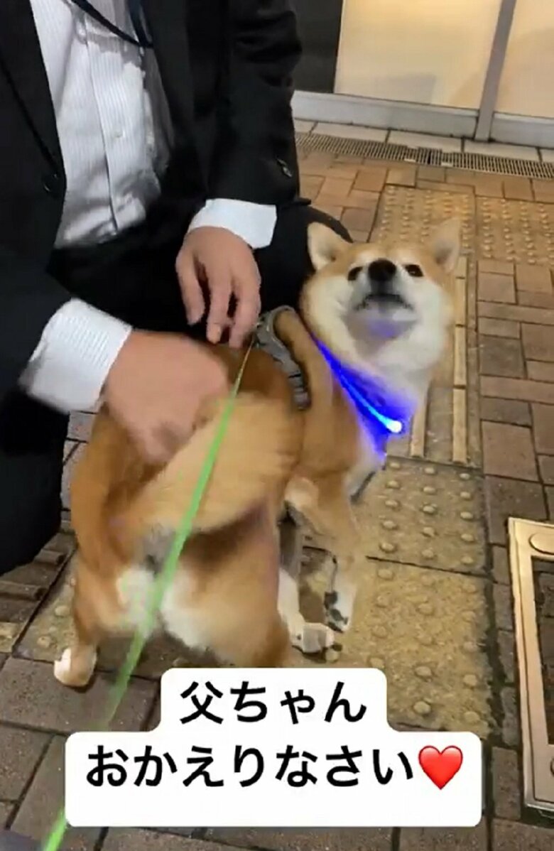 お出迎えは盛大に！