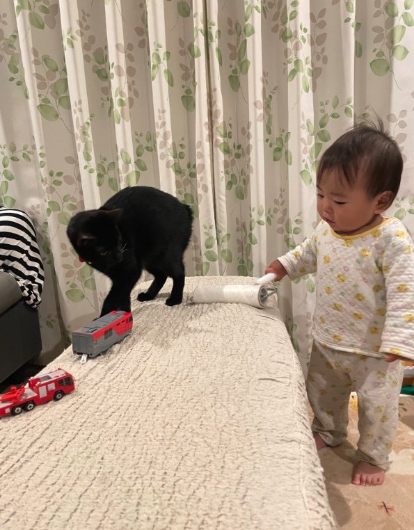 提供：ゴンゾウR4さん