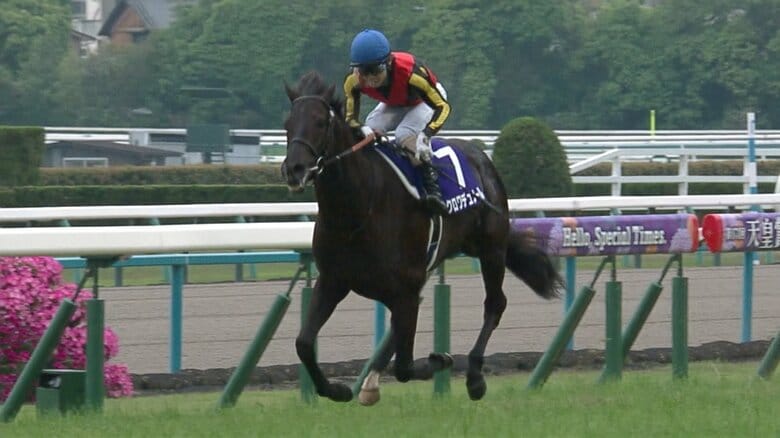 天皇賞春を制したクロワデュノール