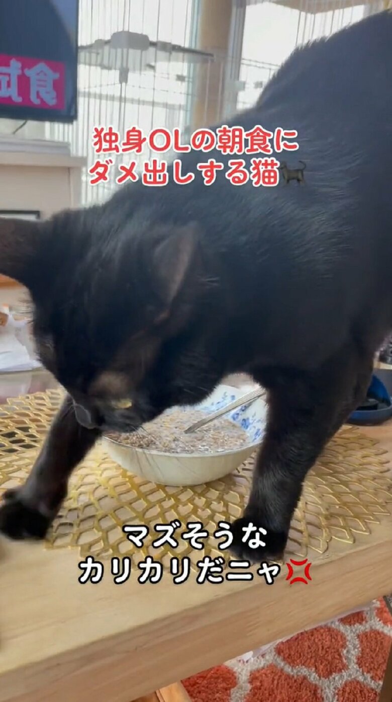 前脚を出したと思ったら…