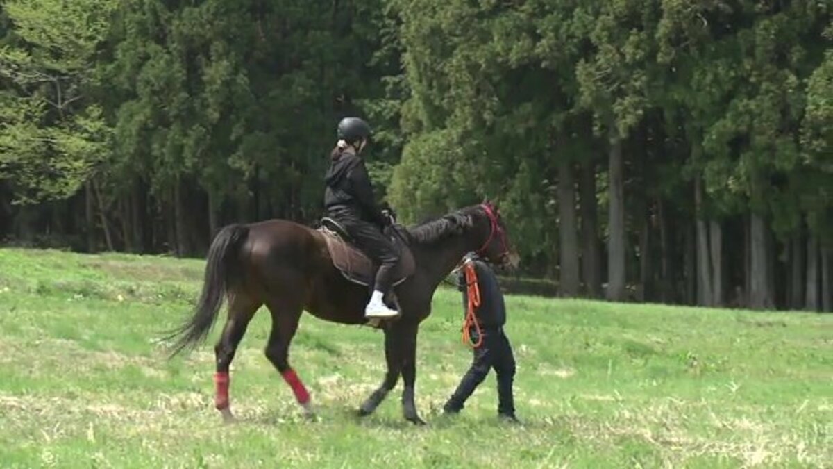 いざ極上の癒し旅へ 疲れた心をうるおす馬とのふれあい 浪江町「ノーマ