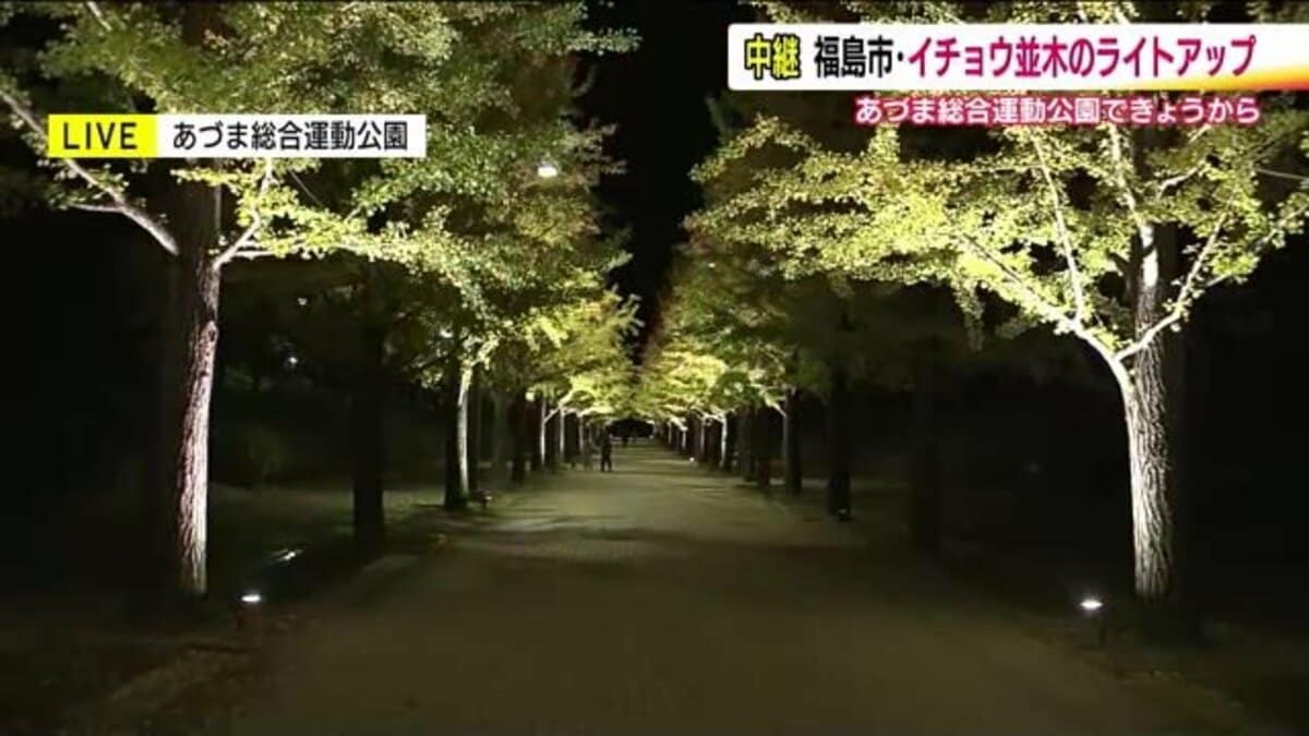 埼玉県 コレクション 運動公園 夜間照明