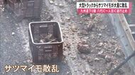 九州自動車道下り線人吉インター付近で大型トラックから積み荷のサツマイモが落下し散乱【熊本】