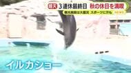 秋の休日を満喫！3連休最終日　観光施設は大盛況　スポーツに汗も