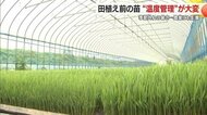 暑すぎず寒すぎずの温度管理が生命線! 苗の出来で作柄が決まる・季節外れの暑さはコメ作りに影響【山形発】