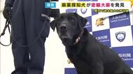 麻薬探知犬が液状大麻を発見　麻薬取締法違反の罪で台湾の女を起訴　関空では“過去最大量”