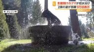 冬眠明けのクマが“バスタブ”でバシャバシャ水浴び　もう1頭来るもかたくなガードで“独り占め”　アメリカ