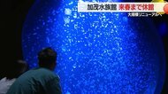 クラゲ大人気の加茂水族館 11月1日から長期休館・来春4月リニューアルオープン 山形・鶴岡市
