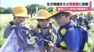 「ウナギ捕れた」松山・市街地の重信川で小学生が水生生物調査「カゲロウ」など多く“きれいな水”【愛媛】