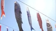 新潟・加茂市で約500匹の”こいのぼり”　春の風物詩楽しむ家族連れも　最高気温は県内9地点で夏日観測　