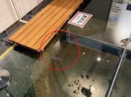 【十勝地方南部でマグニチュード6.2の地震】震度5強の浦幌町で博物館被害、函館市では90代女性ケガ、JR特急8本含む37本運休