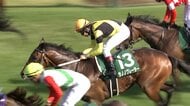 【ラジオNIKKEI賞・GⅢ】サノノグレーターがコースレコードV！田辺裕信騎手が地元福島で今年重賞初勝利！
