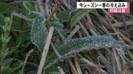 阿蘇はうっすらと霜　今シーズン一番の冷え込み【熊本】