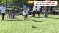熱戦！松山でフィンランド発祥のスポーツ・モルック四国オープン　【愛媛】