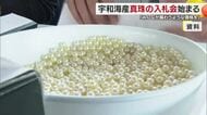 愛媛特産「宇和海産真珠」入札スタート「築地マグロ１匹に負けない」まずます好調な滑り出し【愛媛】