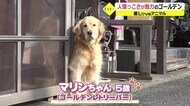 愛LOVEアニマル 中道さんちのマリンちゃん