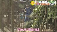 動物に向かって思わず…動物園ならではの“あるある” これであなたも“動物園ツウ”？【愛媛発】