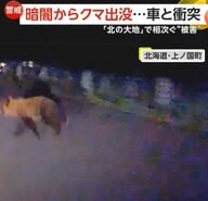暗闇から体長1mのクマが　かわす余裕なく車と衝突…相次ぐ被害に北海道各地に「ヒグマ注意報」発令　男性襲われ死亡する事態も