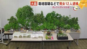 “大麻栽培・所持”で福岡市などの男女12人逮捕 営利目的か 福岡県内や東北・関西にも郵送