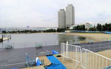東京五輪トライアスロンの舞台に“大腸菌”も1日で改善...なぜ短期間で乱高下?専門家に聞いた