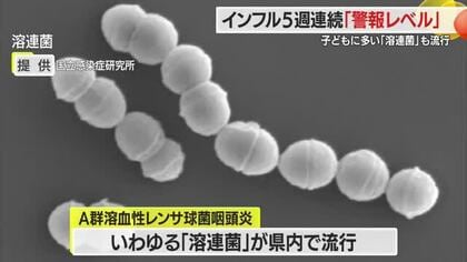 県内インフルエンザ患者数　前週から減少も5週連続「警報レベル」　「溶連菌」も流行で注意必要　山形