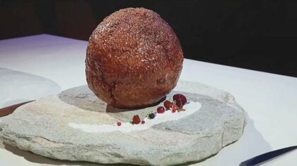 「マンモスのミートボール」が完成　DNA情報から肉を培養　ワニ肉のような香り？