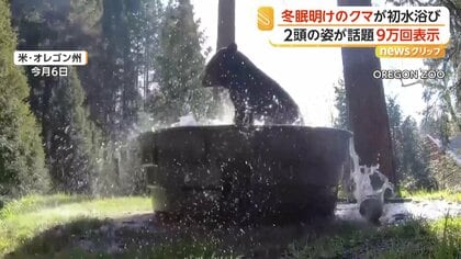 冬眠明けのクマが“バスタブ”でバシャバシャ水浴び　もう1頭来るもかたくなガードで“独り占め”　アメリカ