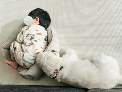 「絶対違うと思う」犬用ベッドに収まる男の子にそっと寄り添う“姉犬”が優しい…いつものこと？“ふたり”の関係性を聞いた