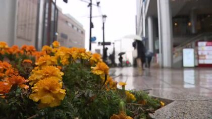 県内は雨が降っているところが多くぐずついた天気　夜にかけて天気は回復へ