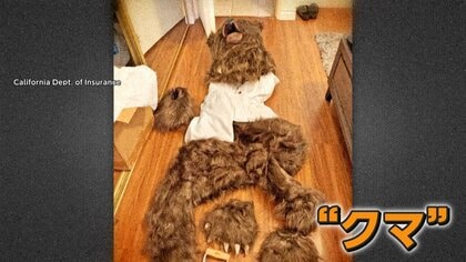 車上荒らしで車内に“クマ”のような爪痕　しかし“指6本”　保険金約2200万円請求のため着ぐるみで自作自演　アメリカ