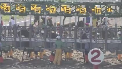 【函館競馬】11R大沼ステークスは5番人気・6番ペリエールが直線力強く抜け出し優勝――佐々木大輔騎手は先週の函館記念に続き、2週連続で函館メインレースを制す