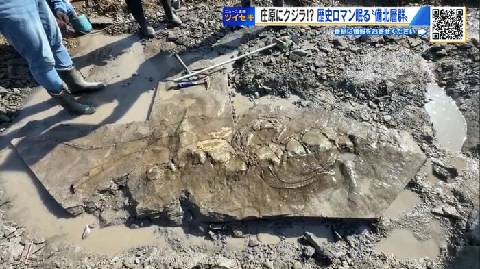 周囲の岩を砕き落とし「てこの原理」で切り出す作戦