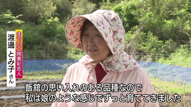 村オリジナル品種のカボチャを娘のように育てる