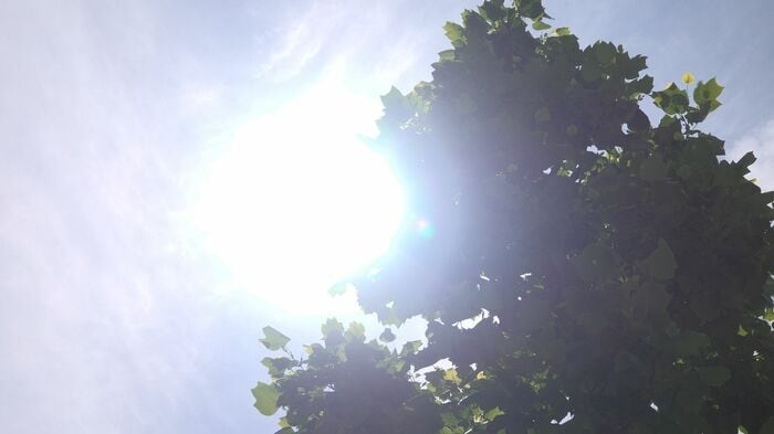 エルニーニョ＝冷夏ではなくなってきている