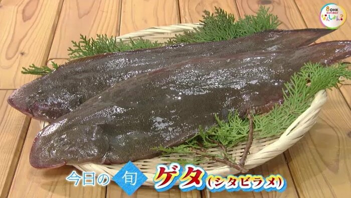 ゲタ（シタビラメ）