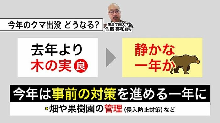今年のクマ出没はどうなるのか