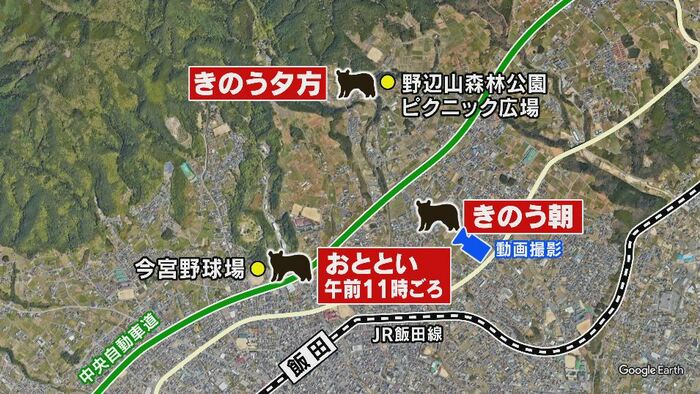 クマが目撃された場所