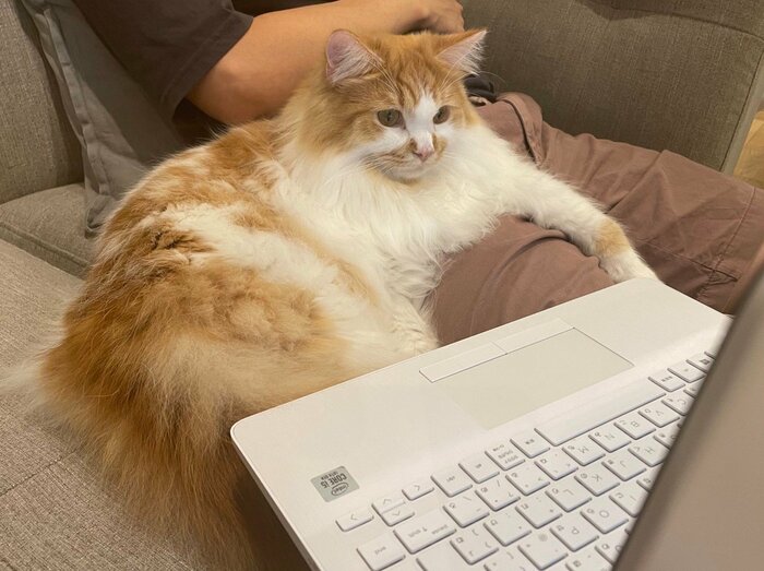 提供:ぽてこゆこめ+うなさん