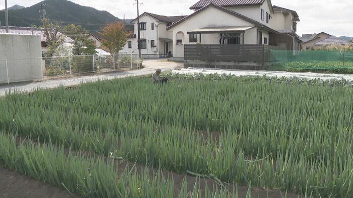 ニュースONE