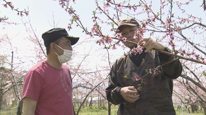 就労支援施設の利用者と作業