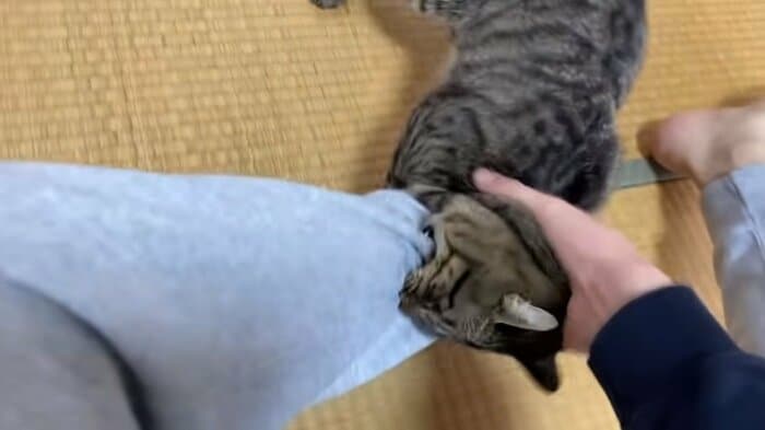 ガブッ!