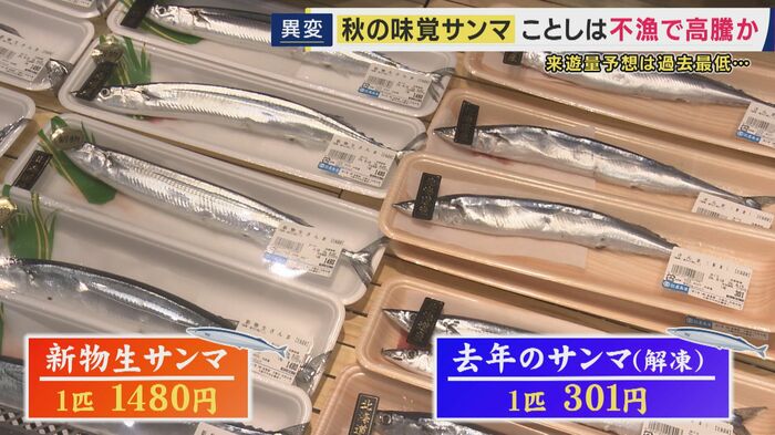 新物は1匹1480円、冷凍していたものは300円