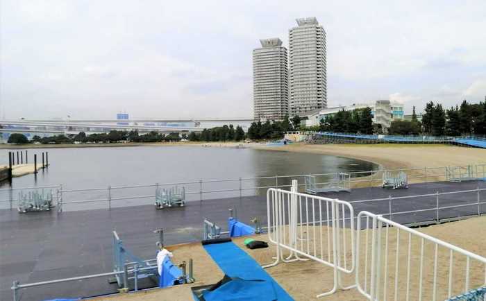 東京五輪トライアスロンの舞台に“大腸菌”も1日で改善...なぜ短期間で乱高下?専門家に聞いた
