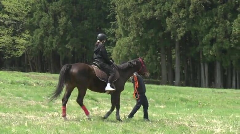 いざ極上の癒し旅へ　疲れた心をうるおす馬とのふれあい　浪江町「ノーマ・ホースヴィレッジ」で穏やかなひと時を【福島発】｜FNNプライムオンライン