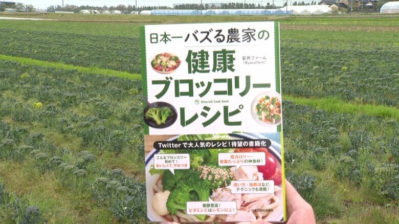 「日本一バズるブロッコリー農家」おすすめ　葉や茎はどうする？無駄なくおいしいレシピ【石川発】｜FNNプライムオンライン