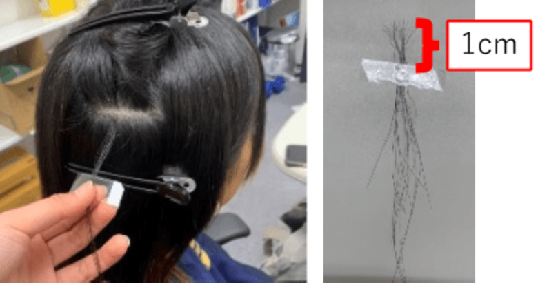 【新潟医療福祉大学】アスリートの心の疲れ、実は髪に出ていた？～毛髪中の「愛情ホルモン」が示すメンタル不調～