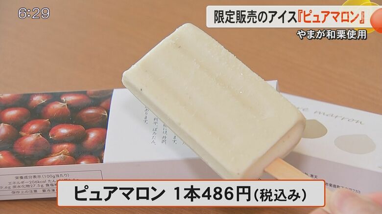 【1本なんと486円】クリの生産西日本1位の熊本・山鹿市で『やまが和栗』使ったアイス新発売 クリのうま味存分に｜FNNプライムオンライン
