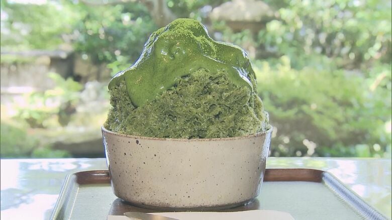 隣り合う市で“冷たくアツい戦い”…2市の55店を舞台に『かき氷総選挙』西尾は抹茶メイン 蒲郡はフルーツ推しの戦術｜FNNプライムオンライン